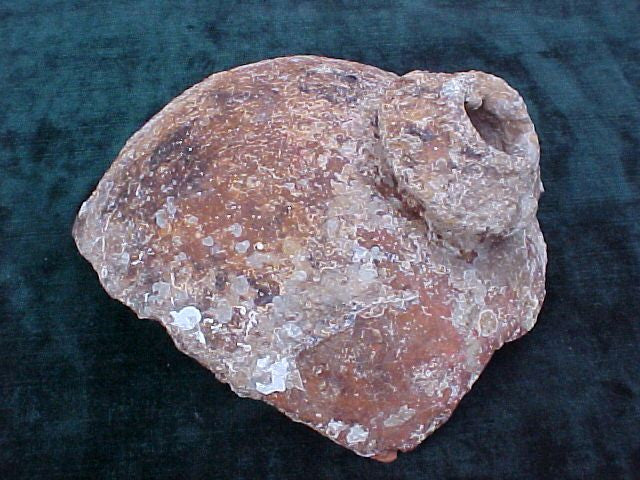A Great Spanish New World Artifact From A Shipwreck; Top Portion of a Pottery Olive Jar, #1569 Treasure Artifacts - Image 3