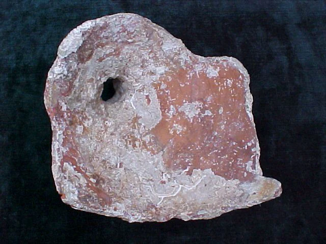 A Great Spanish New World Artifact From A Shipwreck; Top Portion of a Pottery Olive Jar, #1569 Treasure Artifacts - Image 4