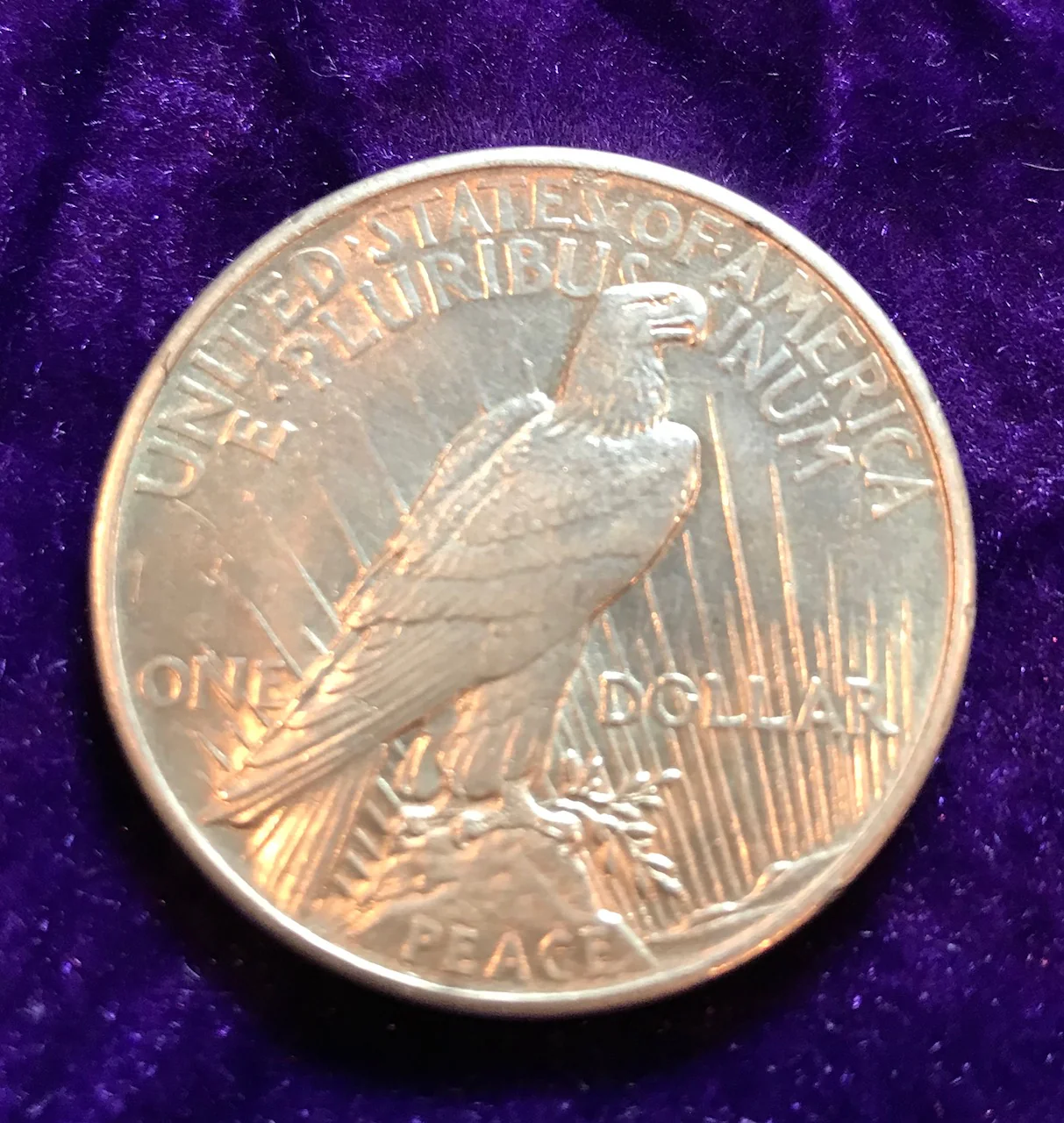 KEY DATE 1921 HIGH RELIEF PEACE DOLLAR - Image 2