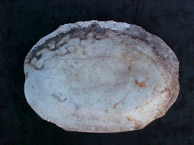 Porcelain Platter, Large Blue and White INTACT, #1892 Treasure Artifacts - Image 4