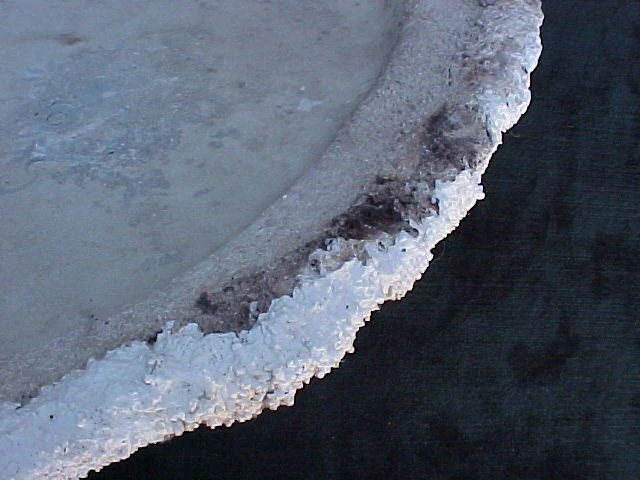 Porcelain Platter, Large Blue and White INTACT, #1892 Treasure Artifacts - Image 5